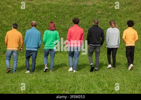 A diverse group of people, each wearing vibrant sweatshirts in various colors, walk through a lush green field, showcasing fashion diversity and unity Stock Photo