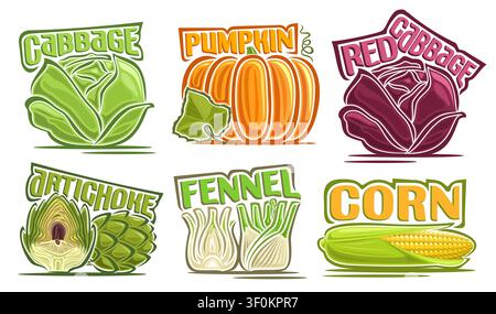 Vector Vegetable Set, collection of 6 isolated compositions of natural vegetables with colorful text for package, group of cartoon whole and parts dif Stock Vector