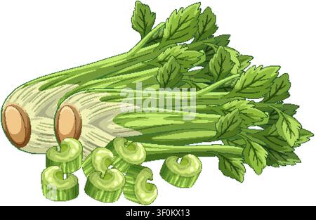 Detailed vector illustration of organic celery stalks with leaves and chopped pieces on white background. Stock Vector