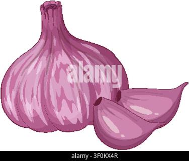 Clean vector illustration of a purple garlic bulb with two cloves on white background. Stock Vector