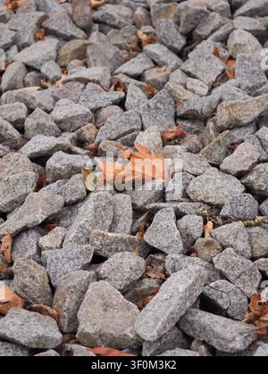 Close view of gray stones covered with fallen brown leaves, showing rough outdoor ground texture, muted autumn colors, and layered rock surfaces for n Stock Photo