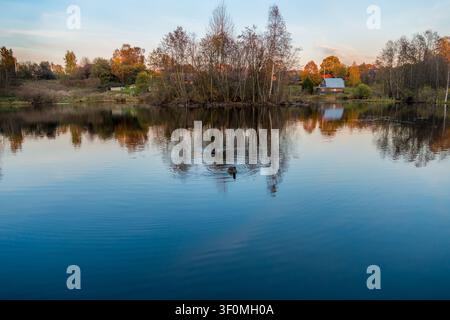 A tranquil village pond in central Russia reflects autumn birch and deciduous trees stripped of most foliage. Stock Photo