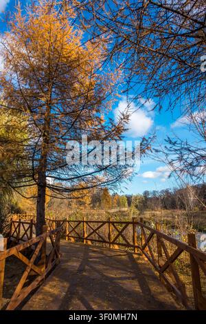 Rustic Cedar Rails Wooden boardwalk with railings winds through green hills and rocky ...