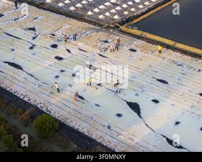 Aerial view of salt workers harvesting salt in the traditional salt pans of Laem Phak Bia, Thailand. Stock Photo