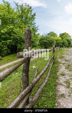 A weathered hand-built log fence constructed from stripped tree trunks runs alongside a narrow gravel and dirt path cutting through lush summer decidu Stock Photo