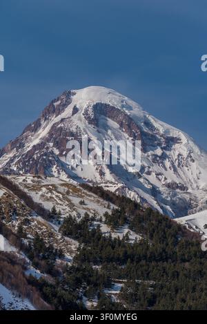 Snow-covered Mount Kazbek (5047m) rises sharply above a forested alpine slope in the Kazbegi region of the Greater Caucasus, Georgia. Stock Photo