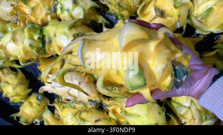 Fresh yellow dragon fruit held in hand isolated Stock Photo
