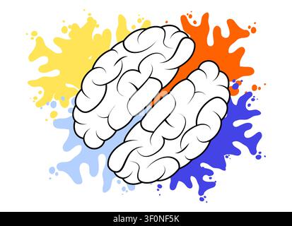Human Brain Divided into Creative Colorful and Logical Grey Hemispheres - vector illustration Stock Vector