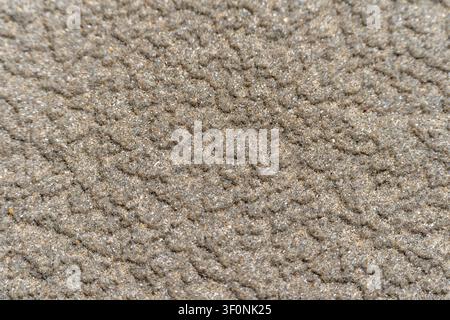 Fine-grained sand forms subtle wavy patterns across the surface, creating a natural texture shaped by wind or water, shimmering softly in light. Stock Photo