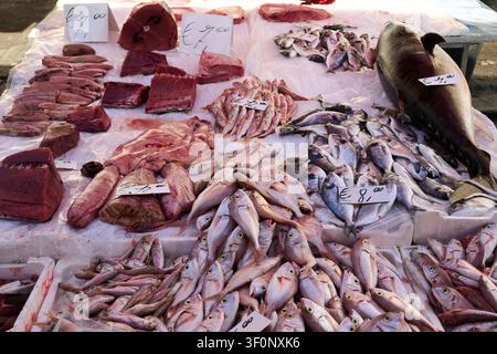 Fresh fish and tuna cuts on ice at morning market stall, Catania, Sicily Stock Photo