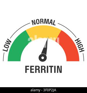Flat illustration of ferritin level gauge depicting low normal and high measurement scale for medical and health design Stock Vector