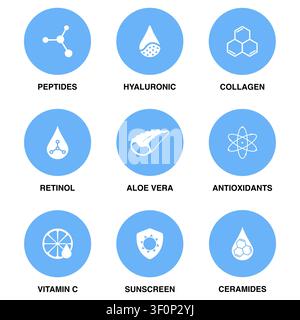 Flat icon set of skincare ingredients featuring peptides, hyaluronic acid, retinol, aloe vera and ceramides for beauty design Stock Vector