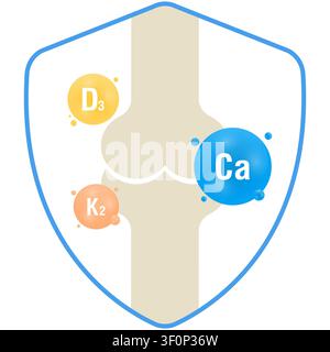Flat illustration of bone joint with vitamin D3, K2 and calcium depicting bone health protection for medical and supplement design Stock Vector