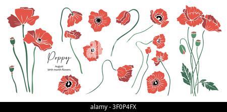 Red poppies bloom with elegant curves, soft petals Stock Vector