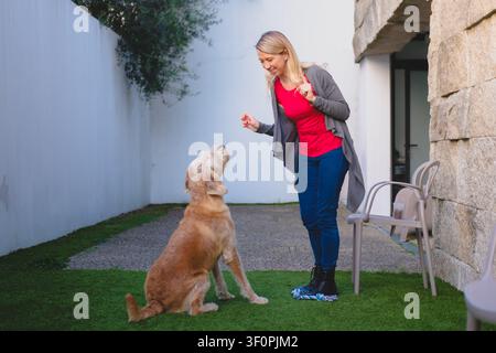 Woman standing with a pointing finger training a light brown dog on artificial grass Stock Photo