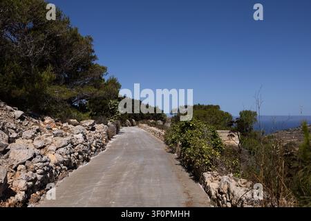 Empty scenic country road between historic stone walls and green pine trees in Malta. Stock Photo
