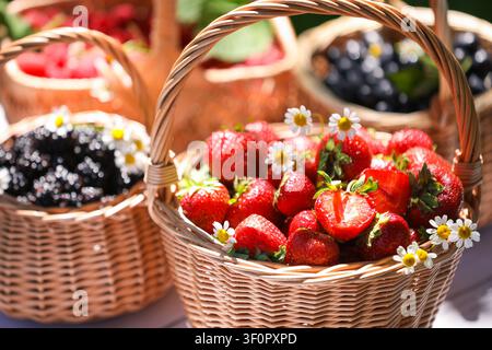 Different ripe berries and chamomile flowers in wicker baskets on table outdoors, closeup Stock Photo