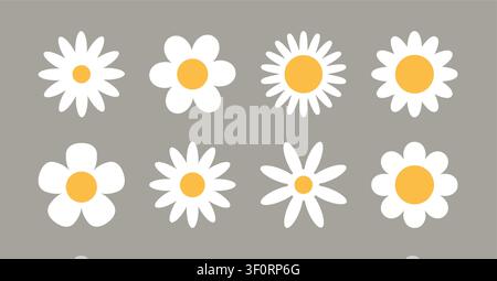 Flower chamomile vector icon. Cartoon camomile white retro spring floral icon design set Stock Vector