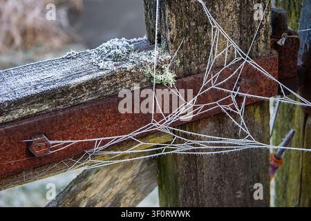 Frost covered rusty hinge on weathered wooden farm gate highlighting the need for regular winter maintenance of rural property Stock Photo