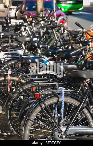 Row of bicycles parked closely together in a street in Noordwijkerhout, Zuid-Holland, The Netherlands Stock Photo