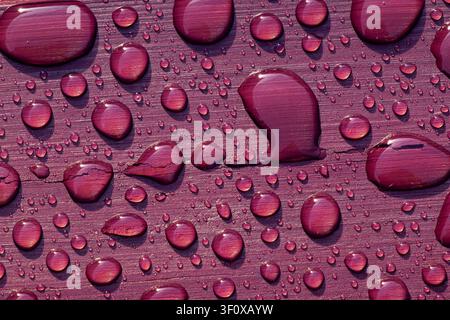 Rain beads forming spherical shapes on magenta toned wood texture with fine cracks Stock Photo