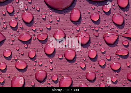 Rain beads forming spherical shapes on magenta toned wood texture with fine cracks Stock Photo