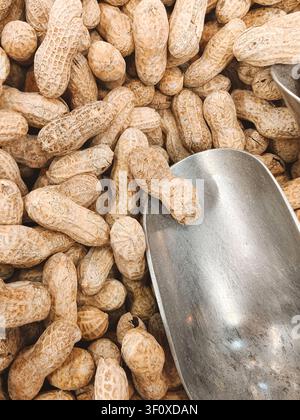 Peanuts In Shell With Metal Scooter  Stock Photo