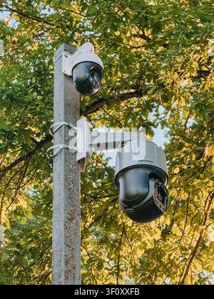 Modern PTZ surveillance cameras mounted on a metal pole beneath lush green tree foliage in warm sunlight. Ideal for smart city, public safety, video m Stock Photo