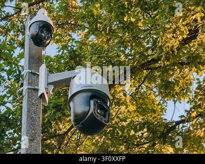 Modern PTZ CCTV surveillance cameras mounted on a utility pole surrounded by lush green tree foliage. Ideal for concepts of public security, smart cit Stock Photo