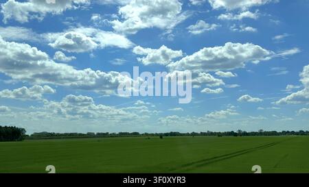 Green field under a bright blue sky filled with fluffy white clouds, showcasing a serene rural landscape  Stock Photo