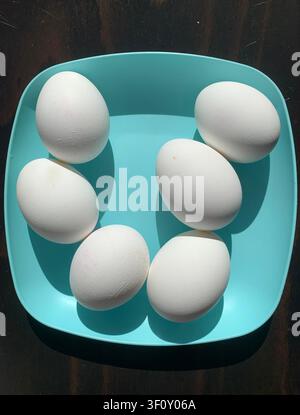 Boiled eggs on the blue plate lightened by the sun Stock Photo