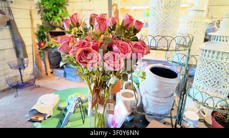 Farm shop interior with faux pink roses, white ceramic plant pots and decorative garden lanterns on display Stock Photo