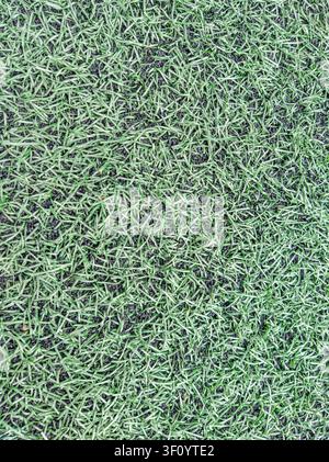 Close-up of artificial grass texture in sunlight Stock Photo