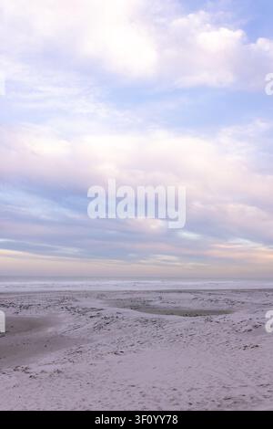 Sandy shoreline revealing shallow tidal pools and scattered seaweed at low tide, pastel sky glowing Stock Photo