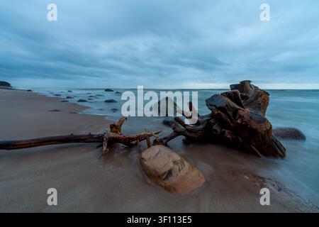 Long exposure seascape with a weathered tree stump on a rocky shore, soft blue sky, and smooth misty water creating a calm, moody coastal scene. Stock Photo