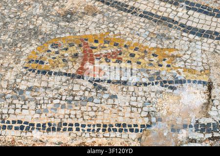 A well-preserved mosaic panel from the House of Ephebe at Volubilis depicts a large colorful fish in yellow, orange, and red tesserae on a grey and bl Stock Photo