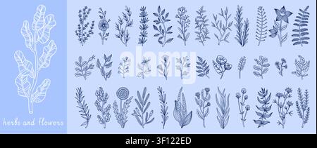 Wedding flowers. Line botanic floral art, vintage plant draw sketch. Branch decoration motif, feminine leaf bouquet. Hand drawn botanical plants. Minimal monochrome vector isolated outline elements Stock Vector