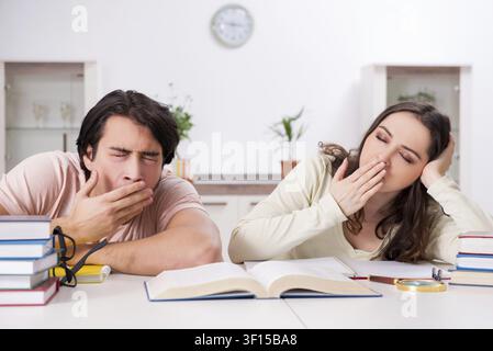 Students preparing for exam together at home Stock Photo
