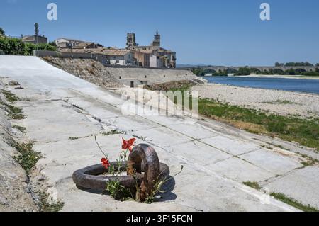 A red poppy blossoms picturesquely on an old, rusty iron mooring ring on the quay wall, in the background the historic backdrop with the church Eglise Stock Photo