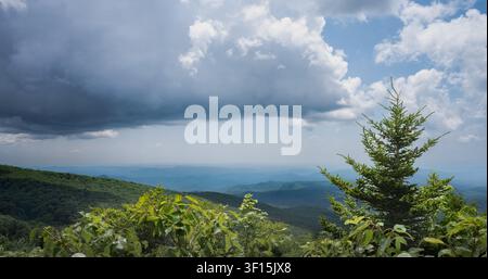 A large storm cloud moves over forested Blue Ridge mountain ridges and an evergreen tree on Grandfather Mountain in North Carolina. Stock Photo