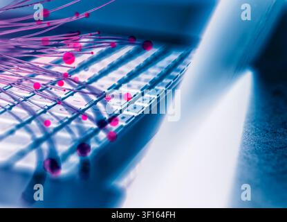 Fibre optics carrying data to a laptop. Stock Photo