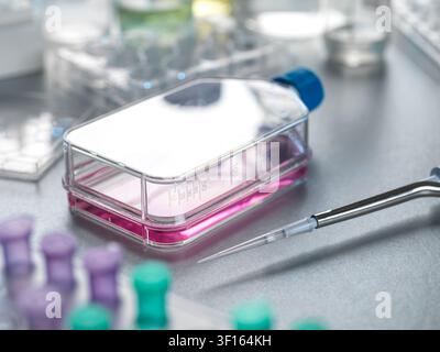 Cell research, conceptual image. Scientist preparing stem cells in a cell jar in the lab. Stock Photo