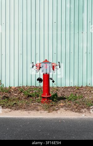 Bright red fire hydrant standing beside dry leaves and grass near a paved roadside Stock Photo