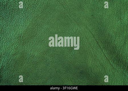 Full-frame overhead view of premium dark green leather material showcasing a detailed natural pebbled skin texture Stock Photo