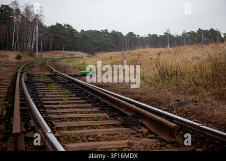 Curving railway tracks run through a quiet rural landscape with dry grass and forest under an overcast sky, creating a calm travel and nostalgia scene Stock Photo