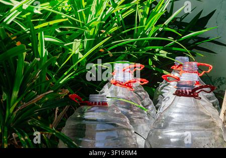Empty plastic water gallon bottles with red handles stacked in a garden for DIY recycling upcycling project. Stock Photo