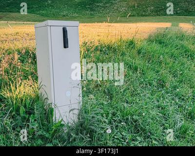 Electrical utility cabinet standing in lush roadside grass beside open agricultural fields during warm golden hour light. Ideal for concepts of infras Stock Photo