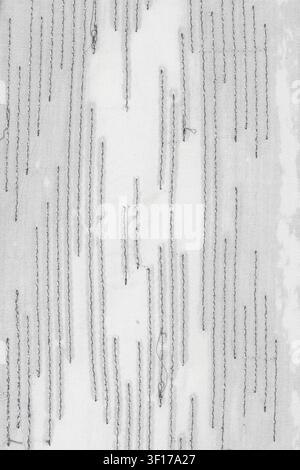 Monochrome textile artwork featuring vertical stitched lines on off white fabric. Minimalist composition with subtle texture hand sewn details. Soft l Stock Photo