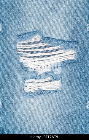Macro shot of torn blue denim fabric. Distressed jeans texture shows frayed edges and exposed white threads. Casual fashion and textile background con Stock Photo