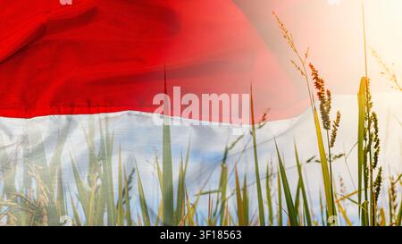 A creative double exposure style image featuring the Indonesian red and white flag waving gracefully over a beautiful green paddy field during a bright sunny day. High Quality Photo Stock Photo